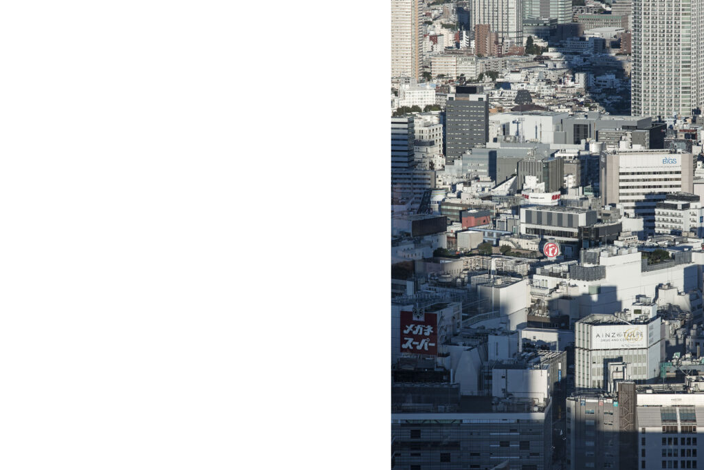 Tokyo view, skycreapers, Shinjuku, Tokyo street photography