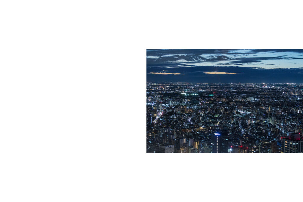 Tokyo night view, Tokyo nightlights, skycrapers, Tokyo skyline, Shinjuku, Tokyo street photography